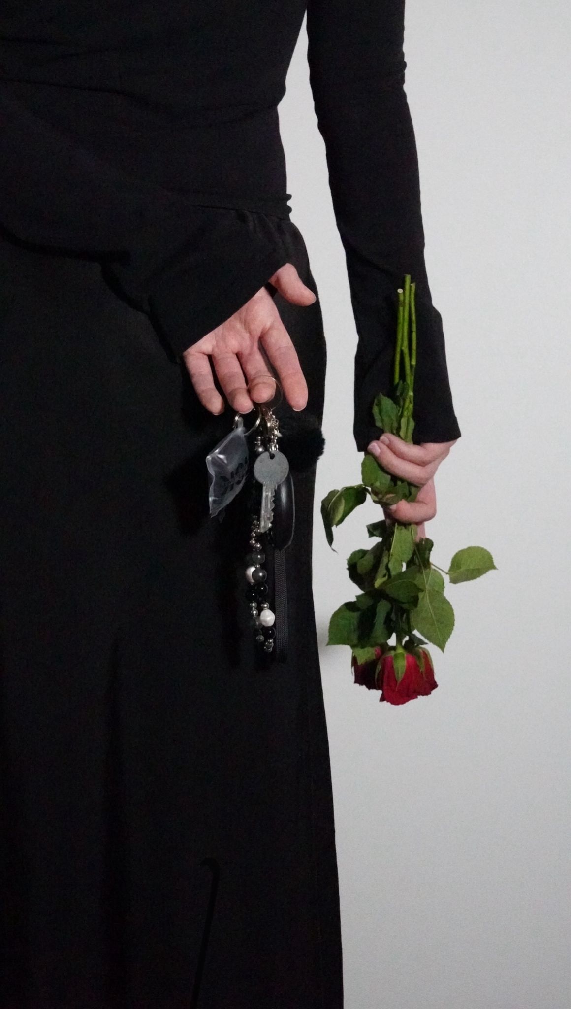 women hand holding rose 