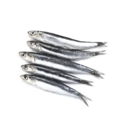 poisson-sardine