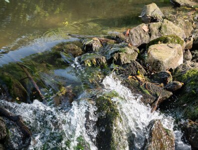 section carousel desktop x1_0.png