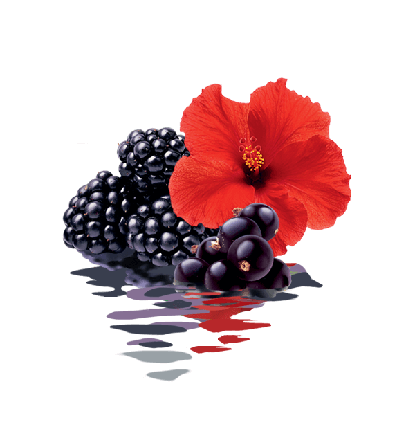 hibiscus