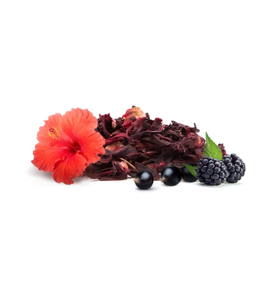 Infusion Hibiscus Mûre Cassis