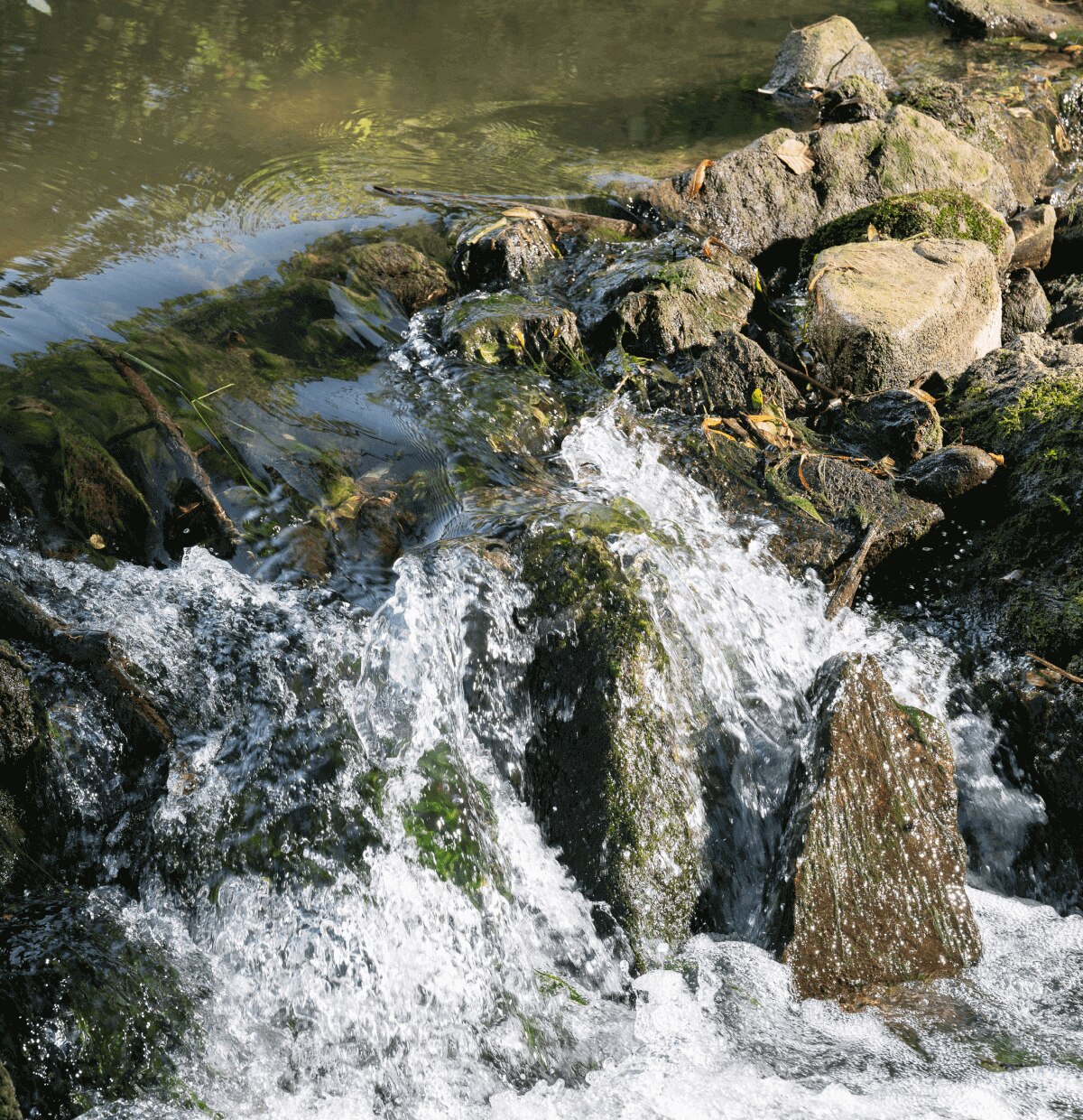 source eau minérale Contrex