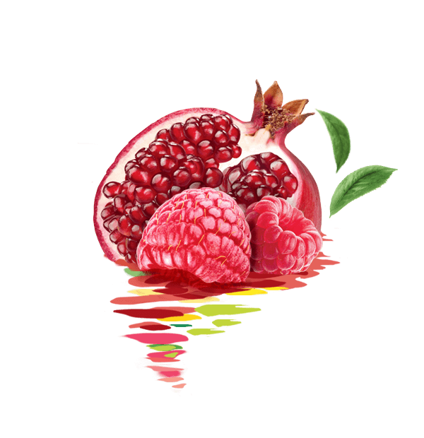 SAVEUR FRAMBOISE & GRENADE - TOUCHE DE THÉ VERT​